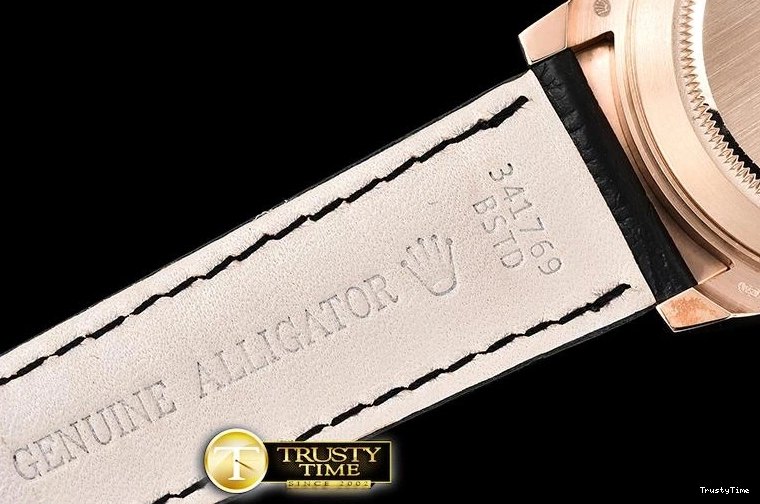 0411 Upgraded ROLDYT0262D – Daytona 910